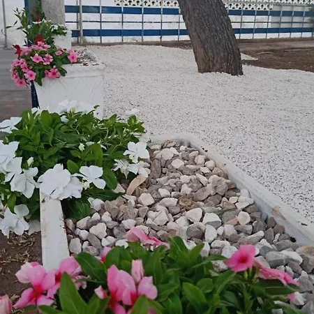 I Girasoli Srls Bed & Breakfast