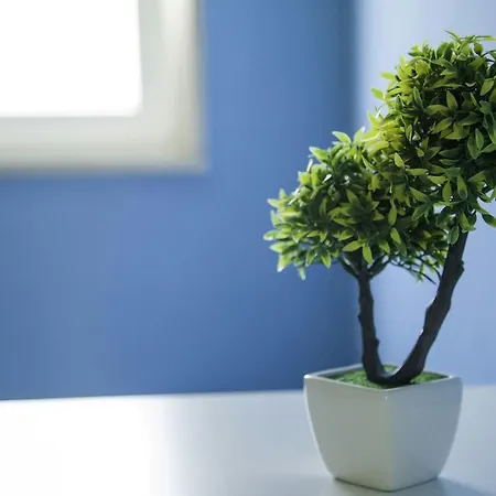 I Girasoli Srls 3* Bari