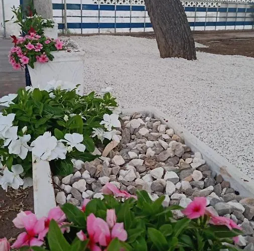 I Girasoli Srls Bed and Breakfast