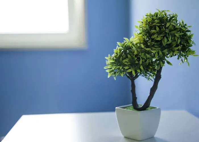 I Girasoli Srls 3* Bari